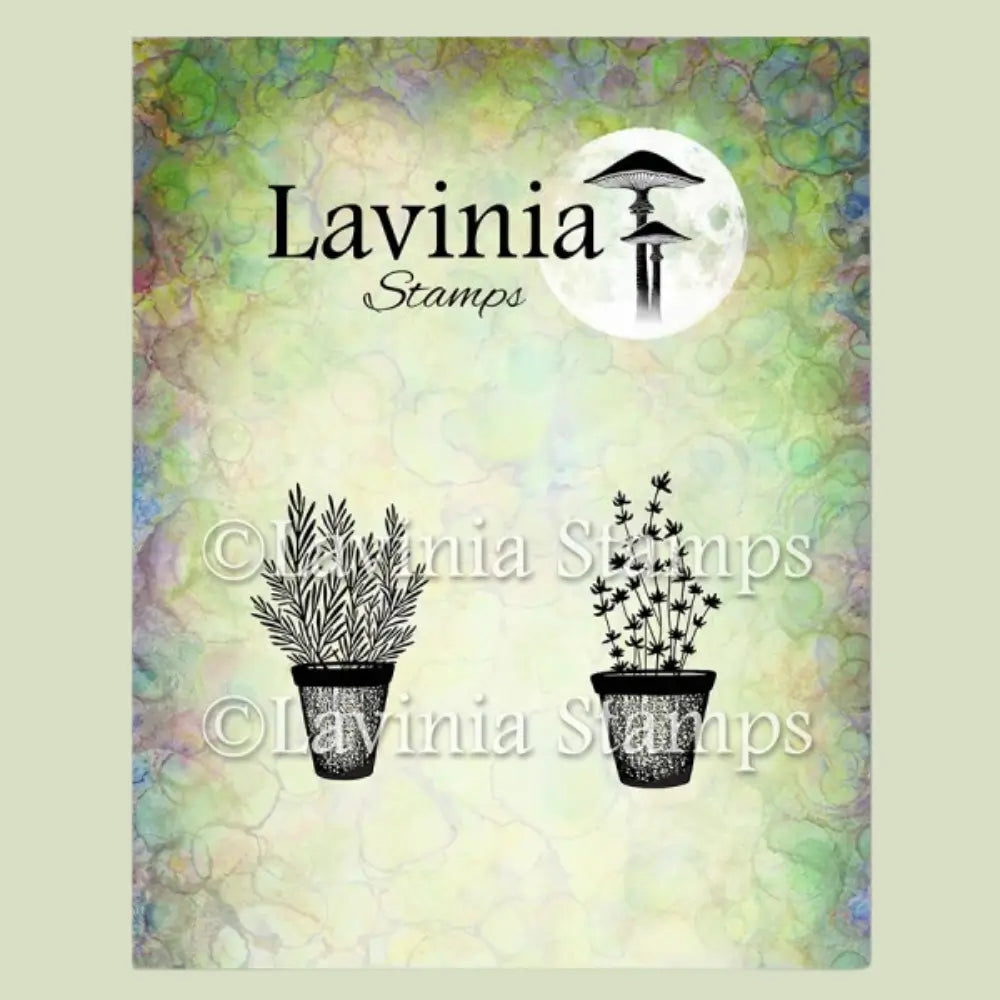 Rosemary & Thyme Pots, LAV948