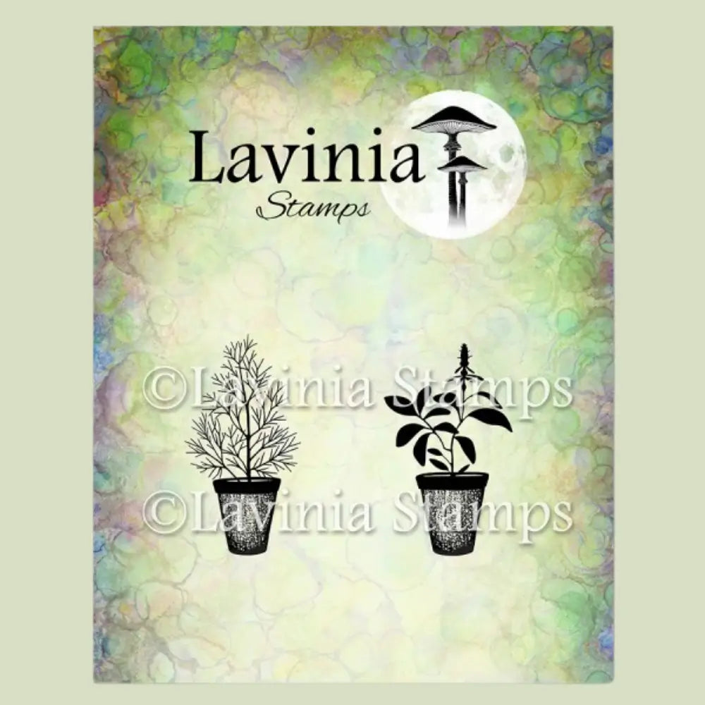 Dill & Sage Pots, LAV939