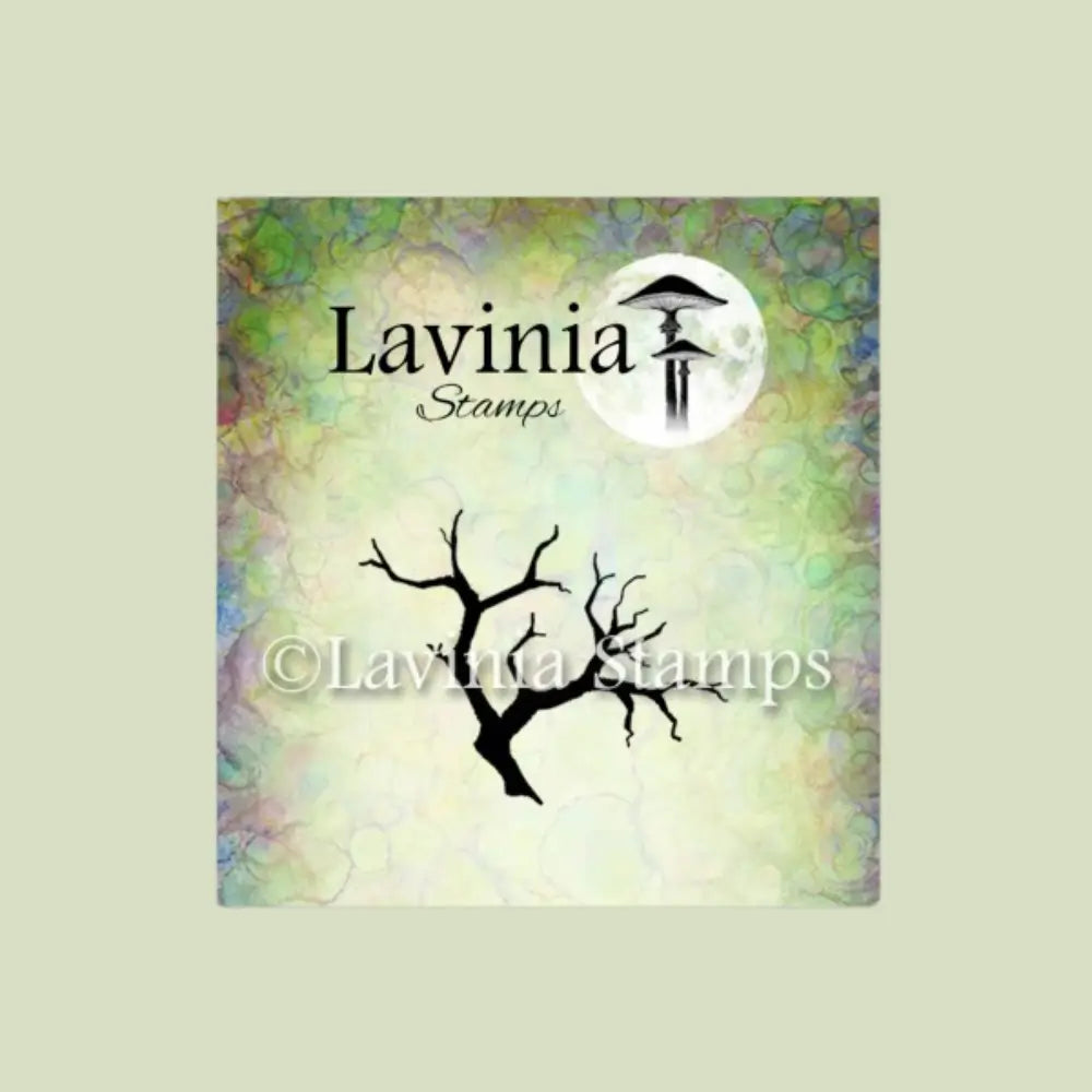 Mini Branch, LAV511