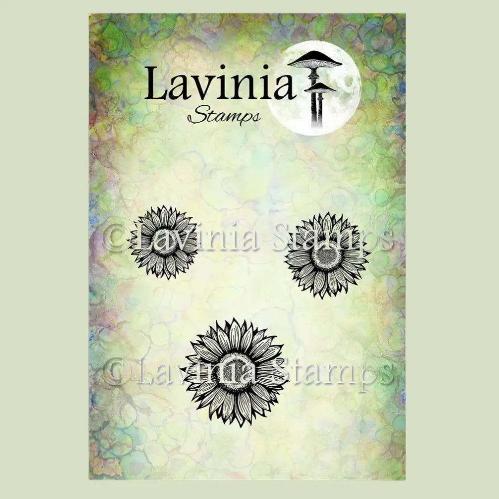 Sunflower Heads, LAV993