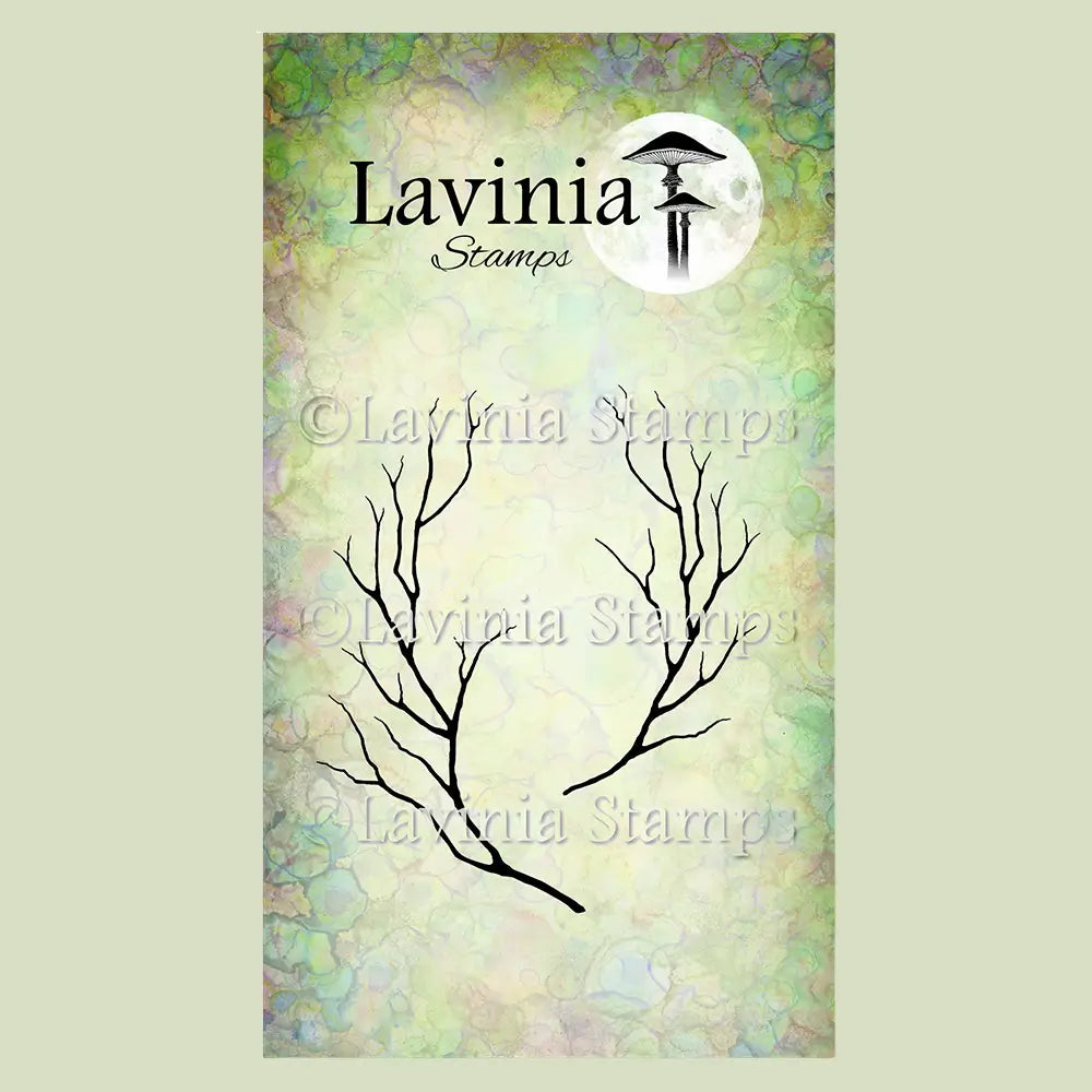 Witch Hazel, LAV1007