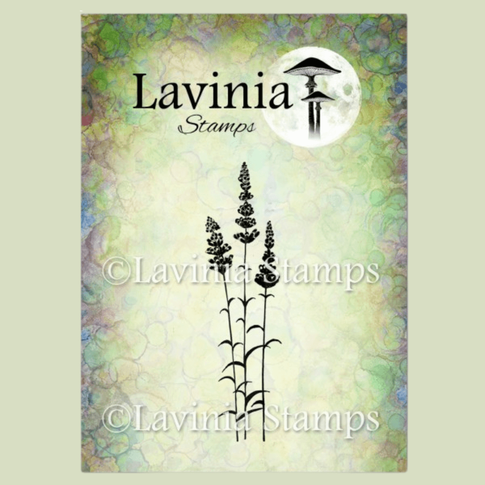 Lavender, LAV093