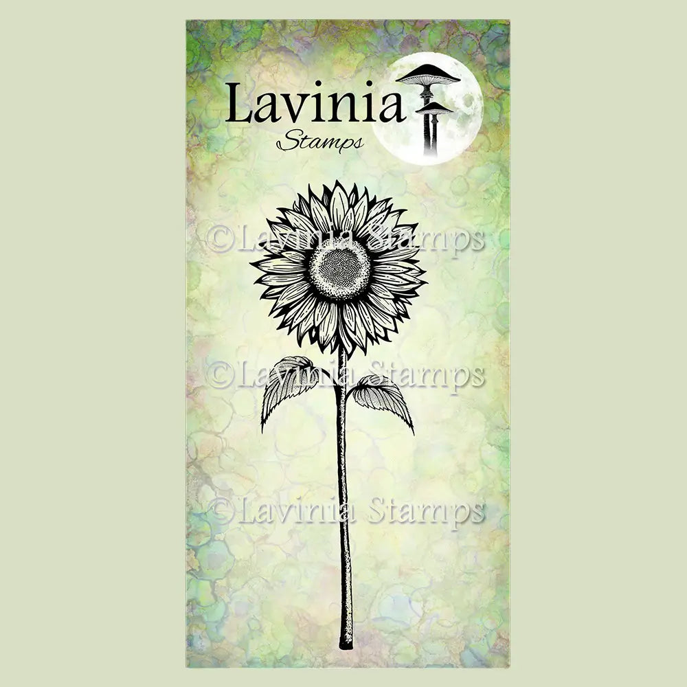 Open Sunflower, LAV986