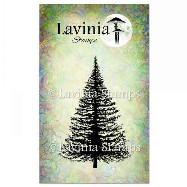 Fir Tree, LAV022