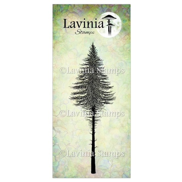 Fairy Fir Tree 2, LAV477