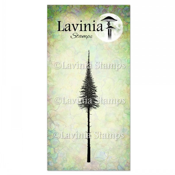 Small Fairy Fir Tree, LAV489