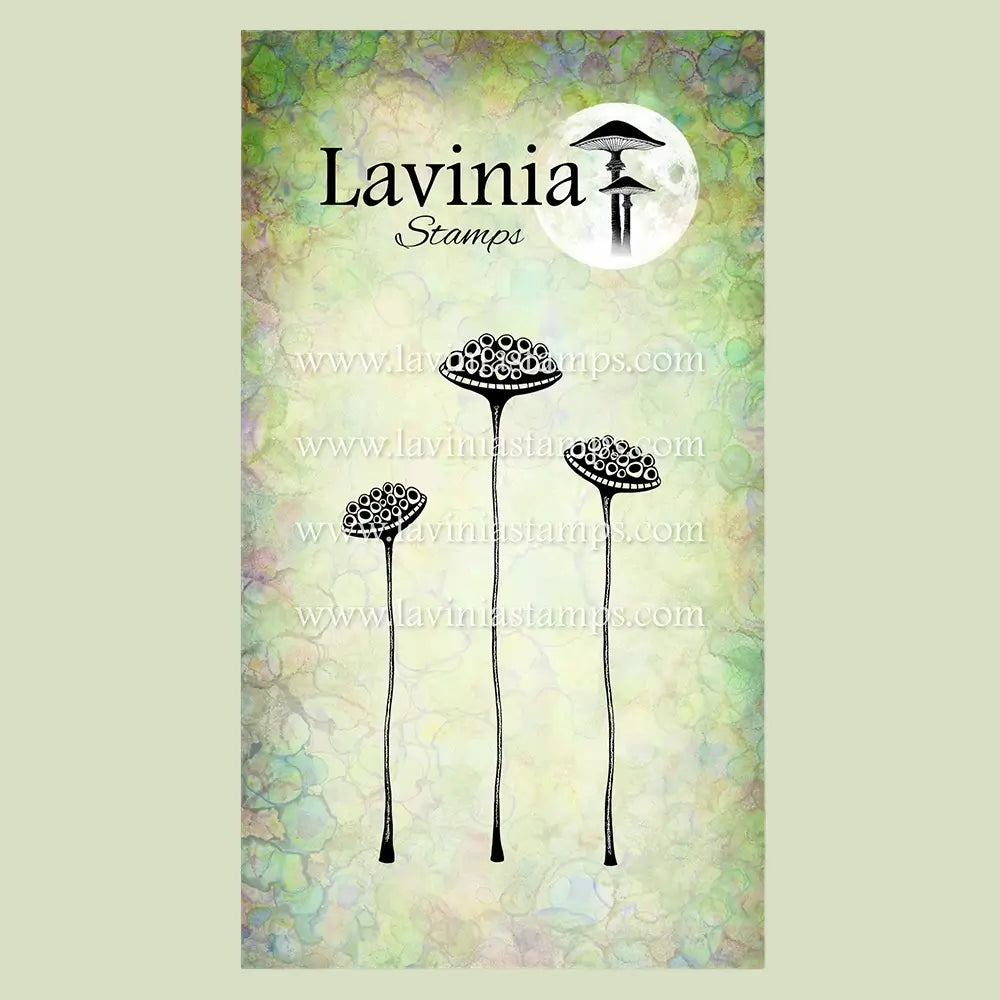 Shimmer Pods, LAV1031