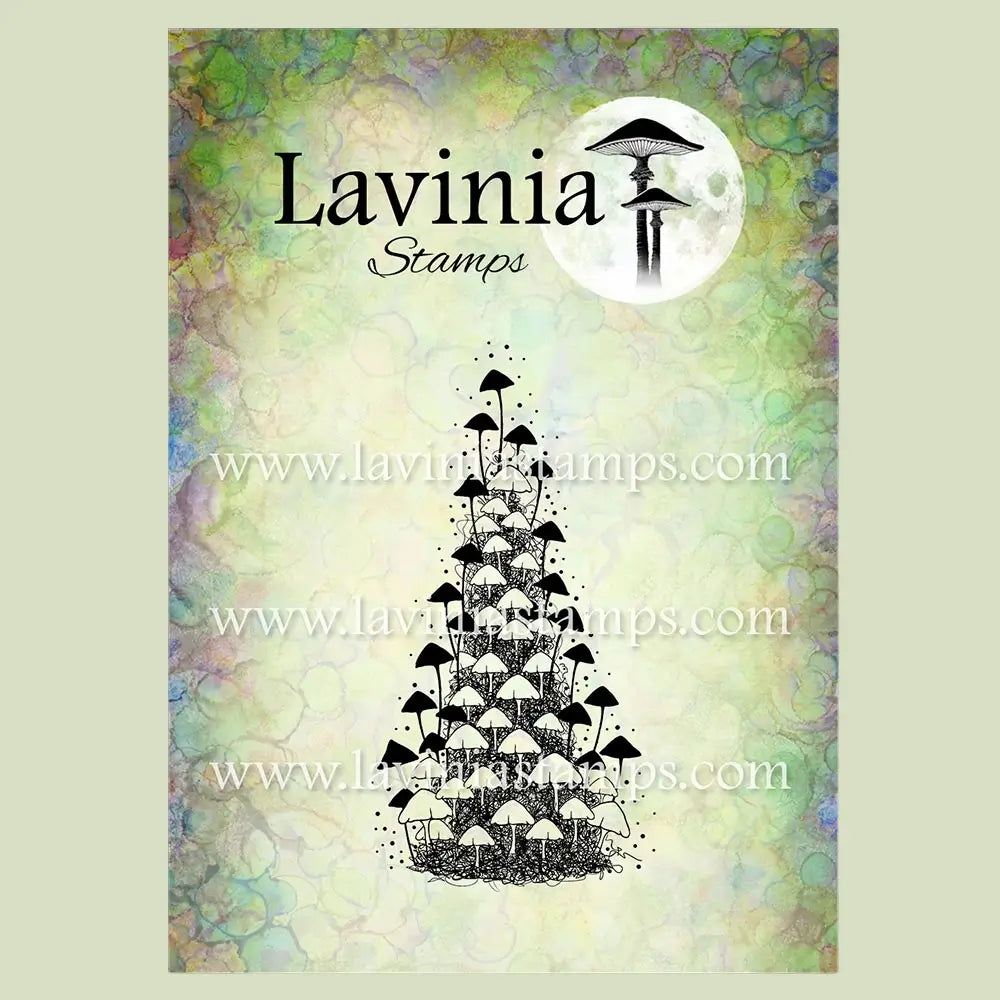 Starcup Mushrooms, LAV1034